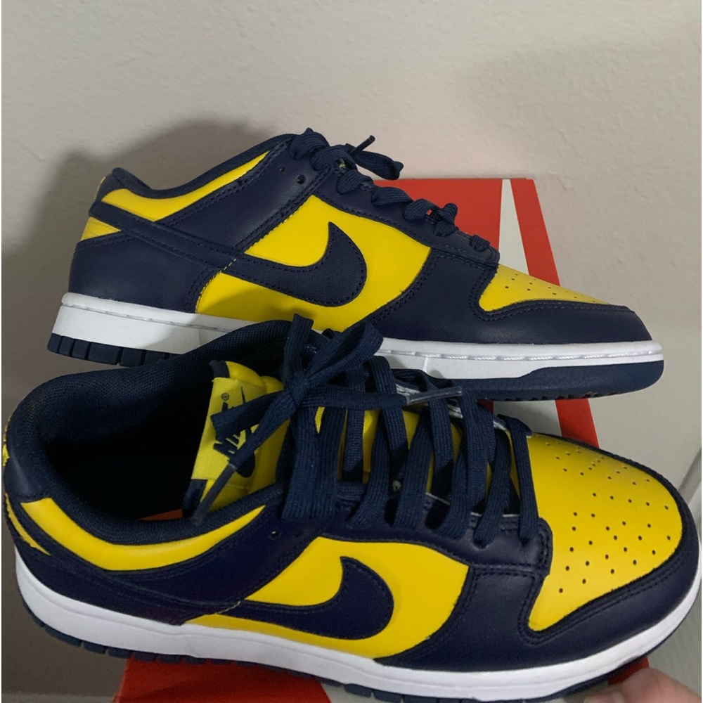 Nike Michigan Dunks